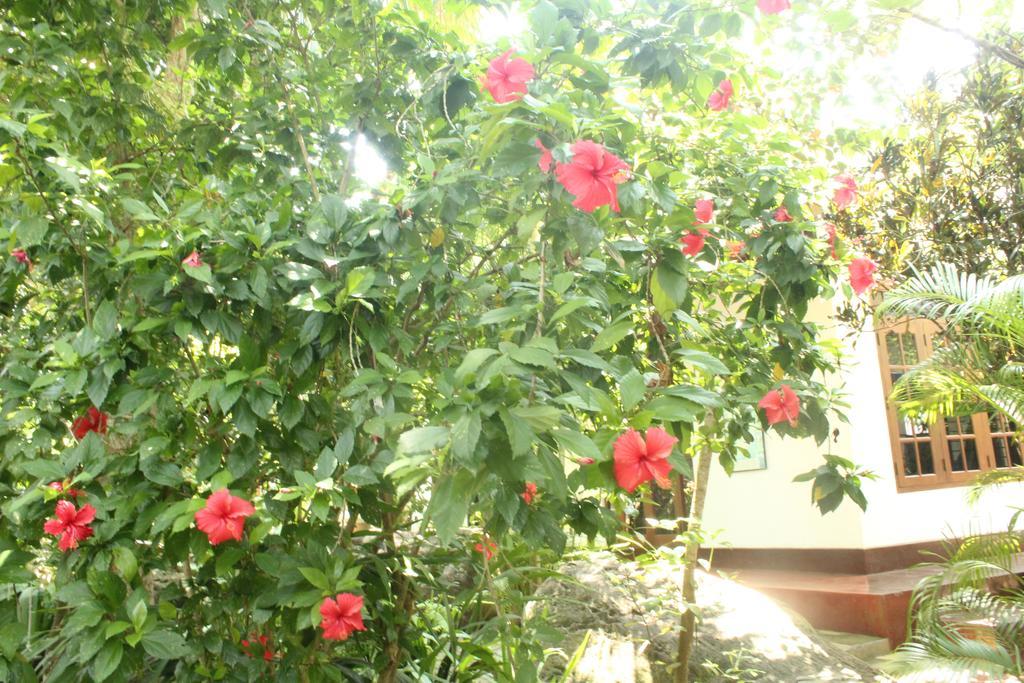 Dionis Villa อูนาวาตูนา ภายนอก รูปภาพ