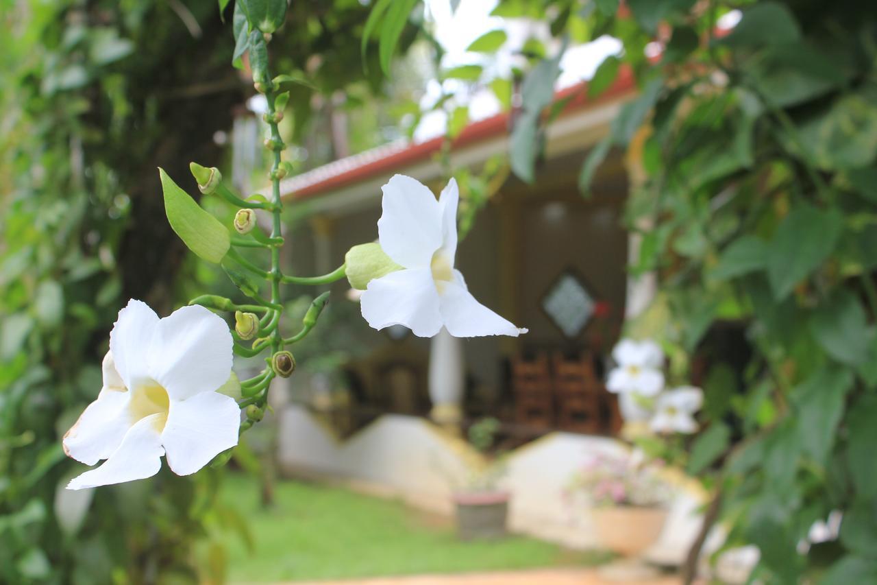 Dionis Villa อูนาวาตูนา ภายนอก รูปภาพ